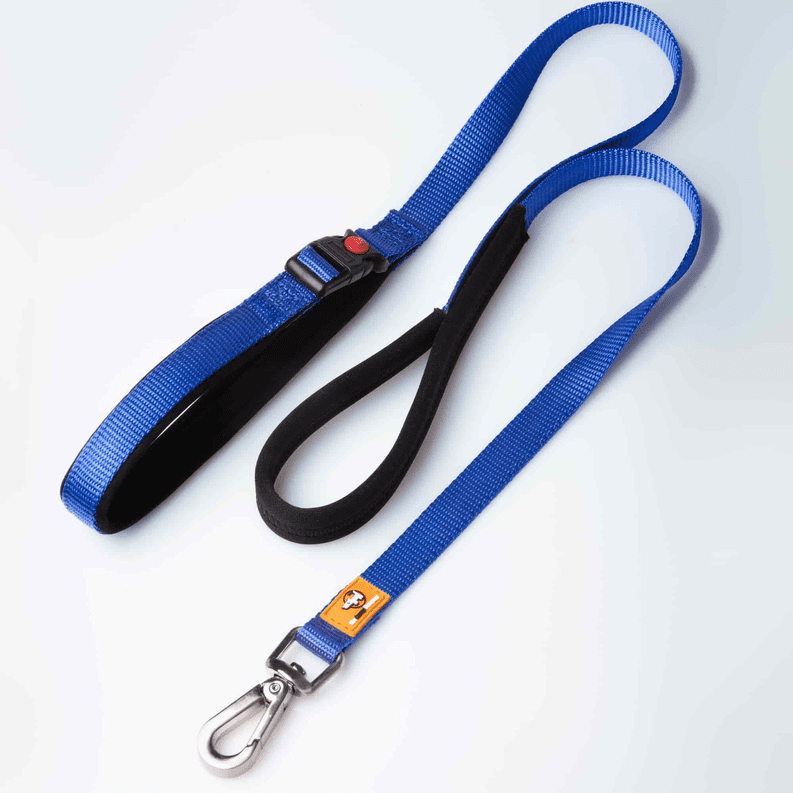 Canny Leash Canny Leash