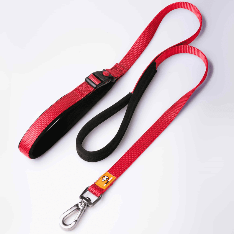 Canny Leash Canny Leash