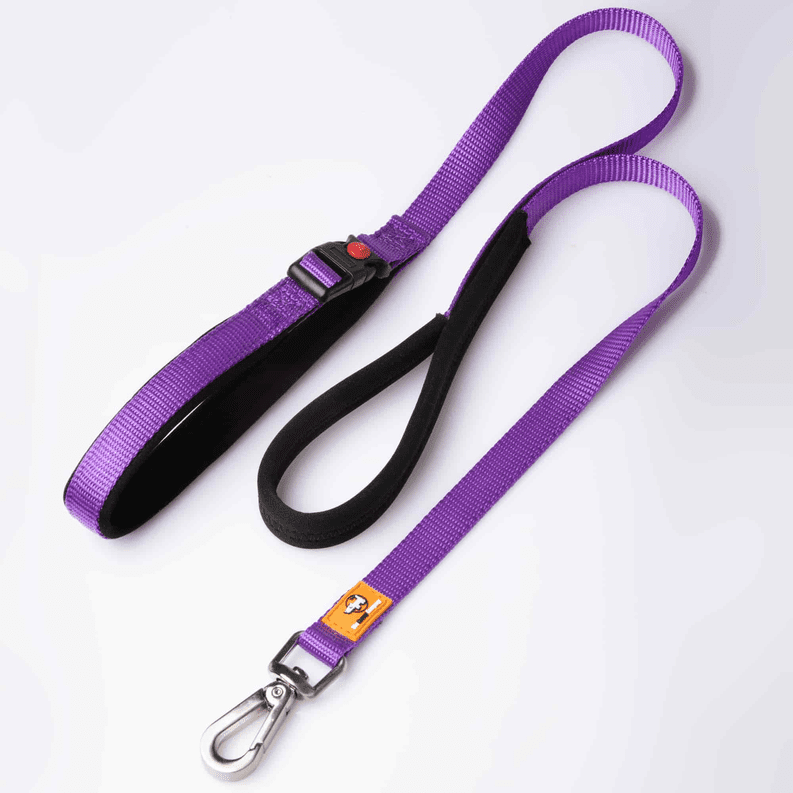 Canny Leash Canny Leash